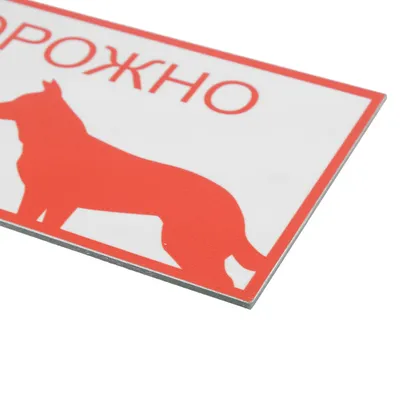 Табличка Осторожно злая собака Размер А4, 21 см, 29 см - купить в  интернет-магазине OZON по выгодной цене (373496217)