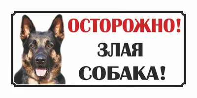 Табличка Осторожно злая собака - купить в Москве, цены на Мегамаркет