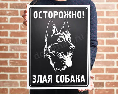 Табличка осторожно злая собака Питбуль из металла, 35 см, 35 см - купить в  интернет-магазине OZON по выгодной цене (469976232)