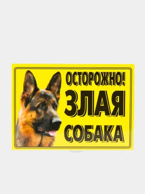 Табличка \"Осторожно, злая собака\" круглая. Печать по предоплате  (ID#860483143), цена: 160 ₴, купить на Prom.ua