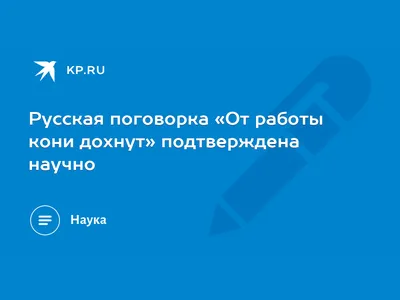 Русская поговорка «От работы кони дохнут» подтверждена научно - KP.RU