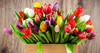 Открытка с тюльпанами на 8 марта - Скачайте на Davno.ru