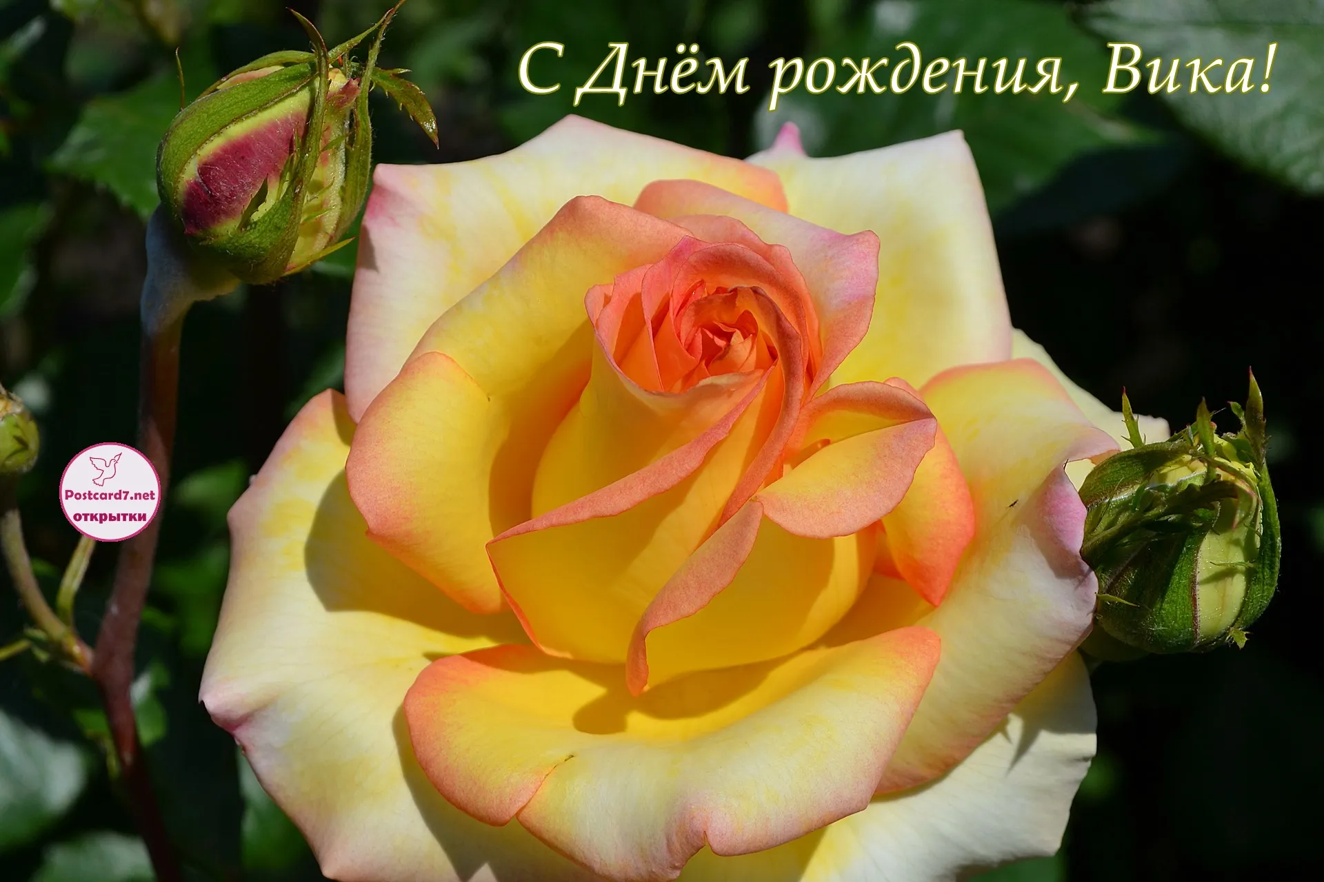 Открытка с днем рождения виктория