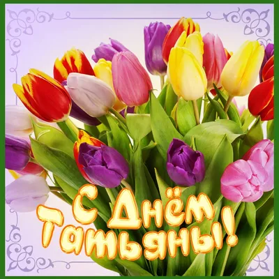 Татьянин день: поздравления с Днем ангела Татьяны и яркие открытки -  Завтра.UA