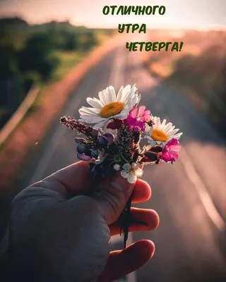 Вера Москва - Всем отличного четверга, даже при отсутствии солнышка! |  Facebook