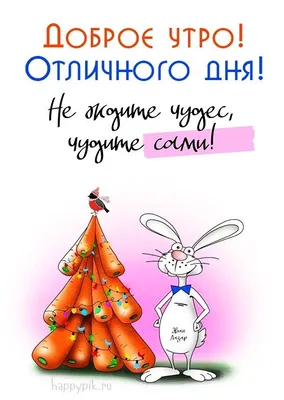 Доброе утро! Отличного дня! Прикольная открытка с кроликом и морковками. |  Смешные открытки, Открытки, Картинки