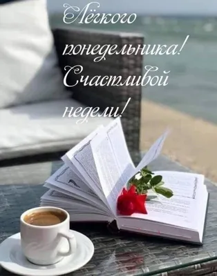 Доброе утро, друзья. Хорошего дня и настроения. Пусть день начнётся с  доброты - Лента новостей Киева