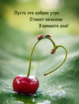 Добрейшего утра! Отличного дня 😜😊🤗🌞🌞🌞🌈☕ #доброеутро #настроение  #позитив #gudmorning #мантра #аффирмации #юмор #кофе #завтрак #улыбнись… |  Instagram