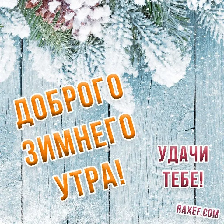 Открытки с пожеланием доброго зимнего утра! С добрым зимним утром! Отличного  начала дня... | Страница 2 | Счастливые картинки, Открытки, Позитив