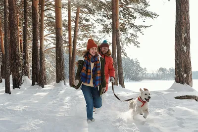 Активный отдых зимой в Минске, цена