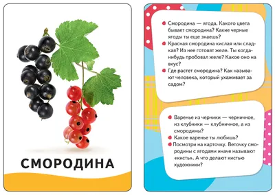 Мои первые слова.Овощи, фрукты, ягоды - купить по цене 230 руб. | Дом  русской игрушки