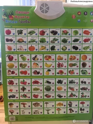 Развивающие карточки овощи фрукты и ягоды купить по низким ценам в  интернет-магазине Uzum (794235)