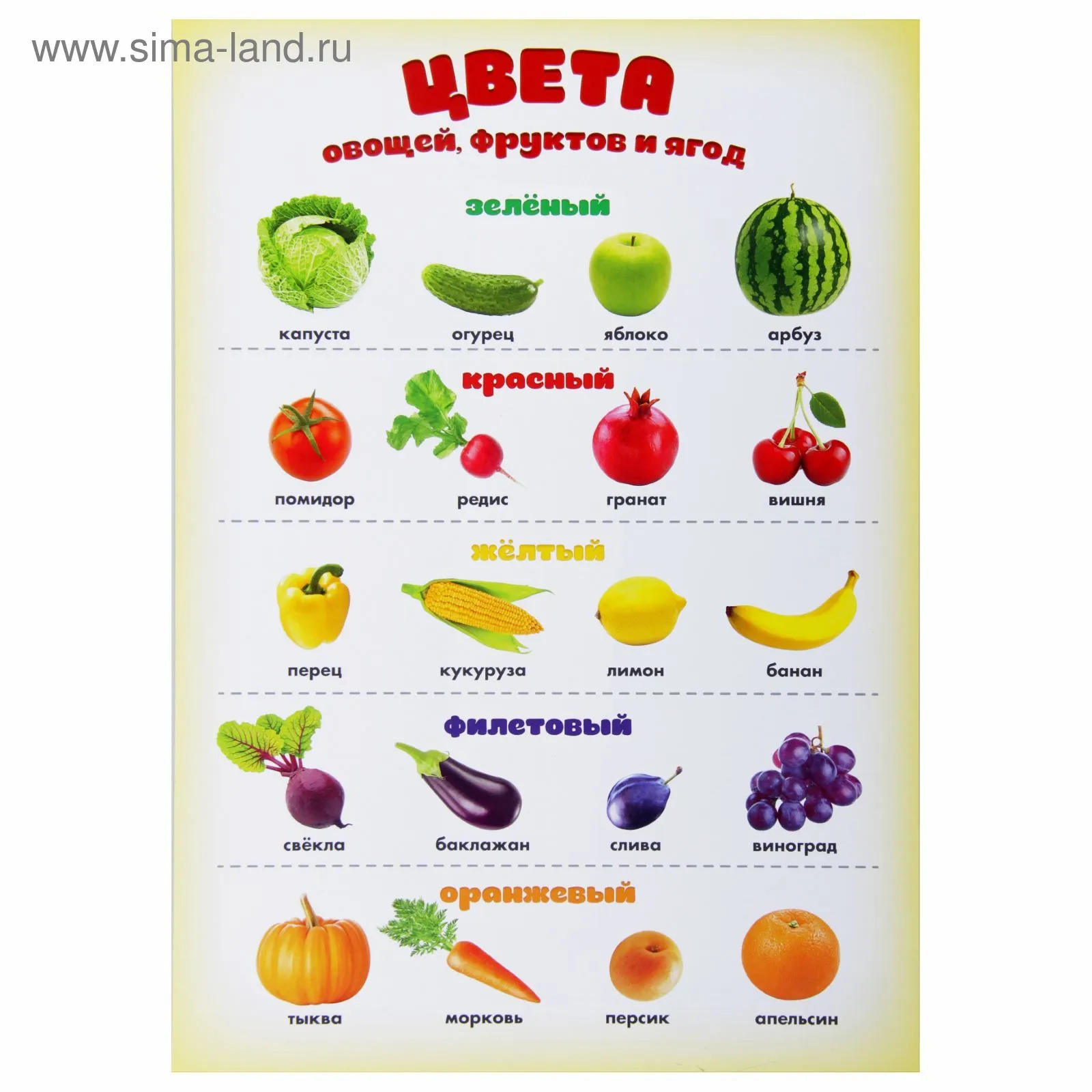 Названия фруктов на русском языке. Плакат овощи и фрукты. Овощи названия. Обучающие плакаты для детского сада. Плакат фруктов для детей.