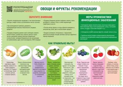 Фрукты овощи и овощи PNG , зеленое здоровье, диета, еда PNG рисунок для  бесплатной загрузки