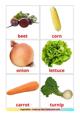 Иллюстрация карточки для изучения английского языка (овощи) в стиле