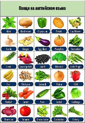 29 Бесплатных Карточек Овощи на Английском | PDF
