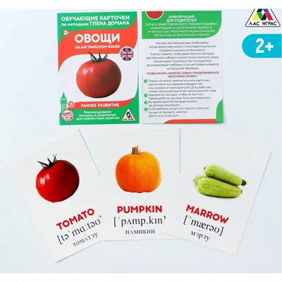 Купить Обучающие карточки по методике Глена Домана «Овощи на английском  языке», 12 карт, А6, в коробке в интернет магазине — BWAY. В наличии в  Ташкенте.