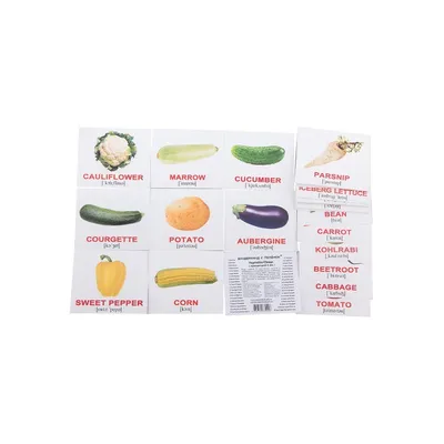 Плакат обучающий А1 ламинир. Овощи II на английском языке, с примерами  610x914 мм - купить с доставкой по выгодным ценам в интернет-магазине OZON  (339008034)