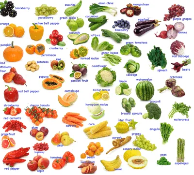 Овощи и фрукты на английском языке (названия с транскрипцией), картинки? |  Картинки слов, Изучать английский, Английский язык