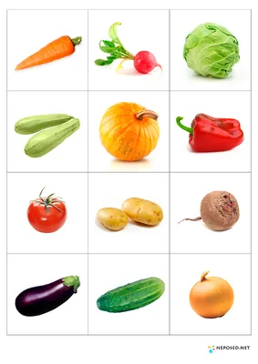 Овощи картинки для детского сада - 60 фото