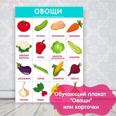 Обучающий плакат овощи для детского сада скачать для печати