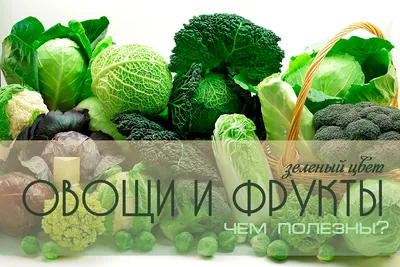 Зеленые овощи: виды, названия, фото и описание. Польза зеленых овощей в  рационе