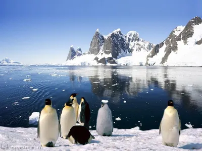 Озеро восток в Антарктиде - тайна покрытая льдом - Мир меняется