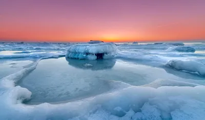 Тайна озера Восток: каких существ скрывает подледное озеро, скрытое от мира  под километрами льда | Восемь лап! | Дзен