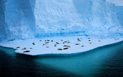 Разгадана тайна подлёдного антарктического озера Восток