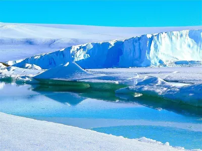 Восток и его обитатели: тайны подледного озера Антарктиды | Пикабу