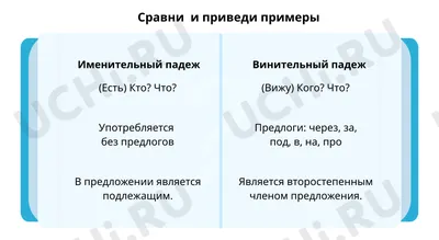 Плакат настенный Падежи и склонения 450*640мм 4607177457284