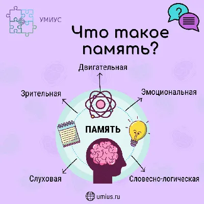 Что такое память? — UMIUS