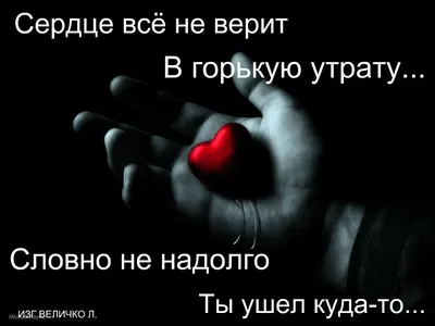 Папочка родной мой зачем же ты ушел...как трудно поверить..и трудно  отпустить...ты всегда будешь жить..жить в моем сердце...Люблю.. | ВКонтакте