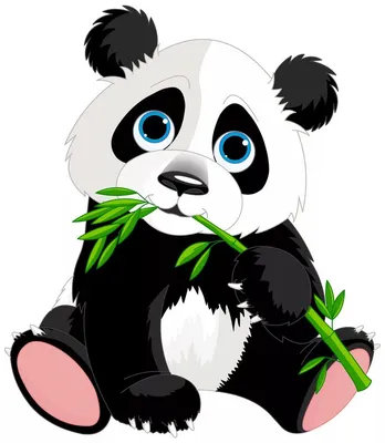 Панда картинки арт