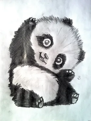 Panda💗 Рисунок панды, Рисунки панды, Панда, panda desenho kawaii