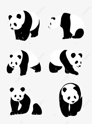 Панда рисунок для детей легкий - 79 фото