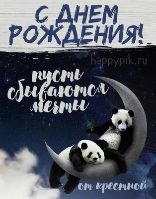 День рождения Панды в Московском Зоопарке — Фото №1375662