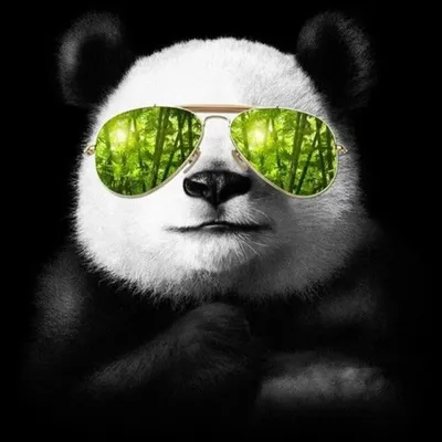 Современная животная Панда в очках 5D «сделай сам» квадратная/круглая  Алмазная Живопись Вышивка крестом Алмазная вышивка подарок mosiac домашний  декор | AliExpress