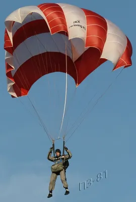 Запасной парашют SQ LT (Sky Country) купить с доставкой по России, по  выгодной цене - компания ParaDrive