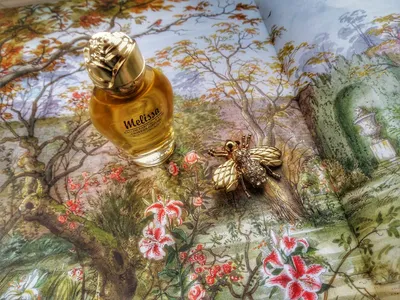 Жемчужина среди ароматов, такая изящная, очаровательная и невероятно  красивая. M. Micallef Mon Parfum Pearl раскрывается на коже подобно… |  Instagram