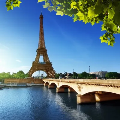 Туры в Париж: что посмотреть. Путеводитель с ценами на отдых | tripmydream