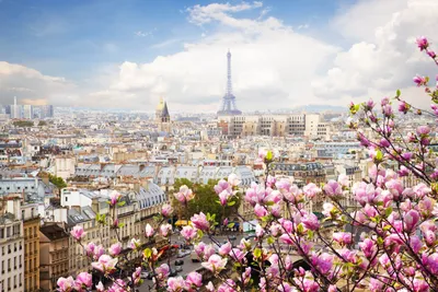 Париж 💥: все что нужно знать о городе, где находится, чем известен, что  посмотреть в столице Франции — Tripster.ru