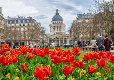 Весенний Париж в марте | pari.guru Все о Франции и Париже | Дзен