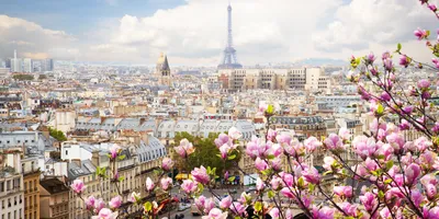 Париж в Марте 2024: погода, как отдохнуть? | Paris-Life.info