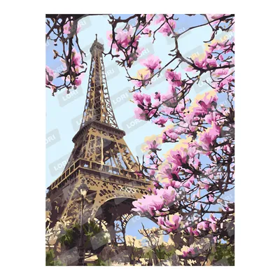 Скачать обои париж, весна, франция, эйфелева башня, магнолия разрешение  2880x1800 #149225