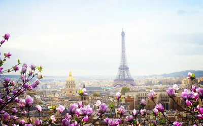 Скачать обои Франция, Париж, Весна., раздел город в разрешении 1920x1080