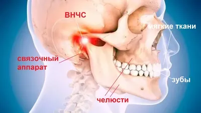 Лечение пародонтоза в Киеве | Блог | Стоматология Eurodental