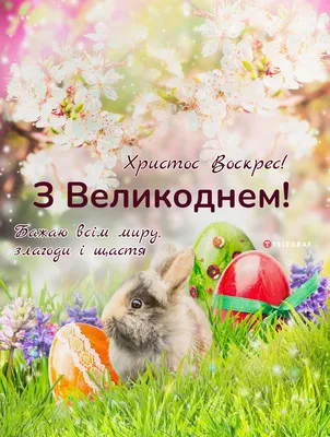Привітання з Великоднем 9 квітня 2023 року — відео, картинки та листівки  українською мовою - Телеграф