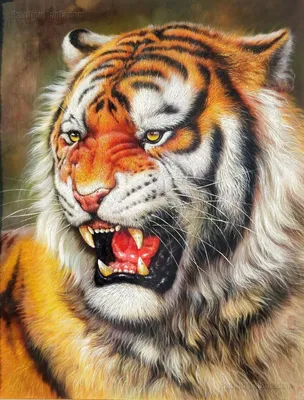 Мощная пасть тигра: картинка в формате png | Пасть тигра Фото №521044  скачать