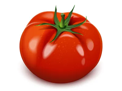 Что такое детерминантные и индетерминантные сорта помидоров: когда сажать  помидоры на рассаду, лучшие и урожайные сорта томатов - 2 апреля 2023 -  v1.ru